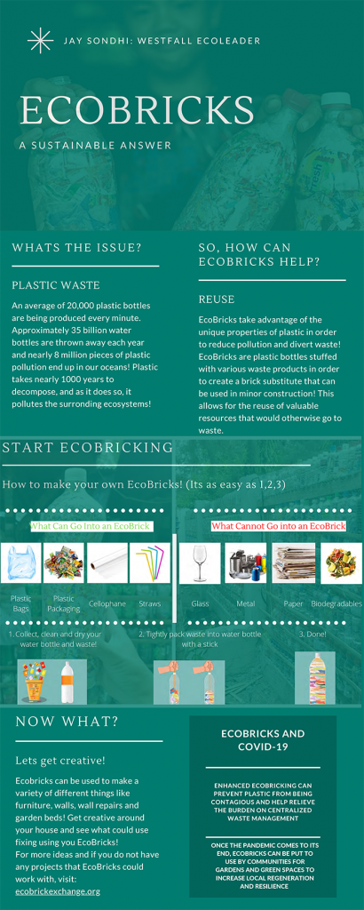 EcoBricks Infographic